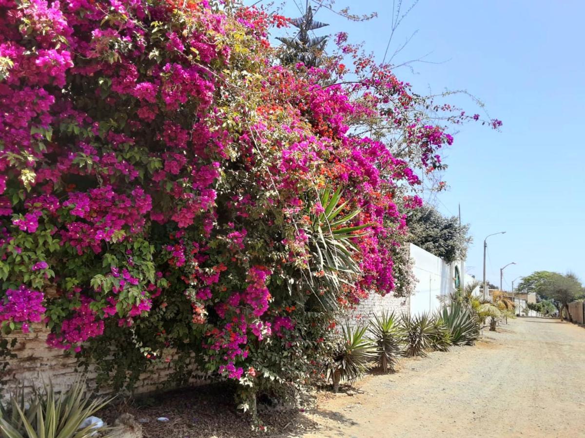 Villa Hospedaje Chanchan Cultural Lodge Trujillo Exterior foto